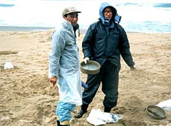 自民党京都府連青年局