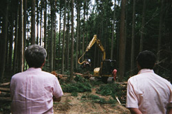 日吉町森林組合　視察